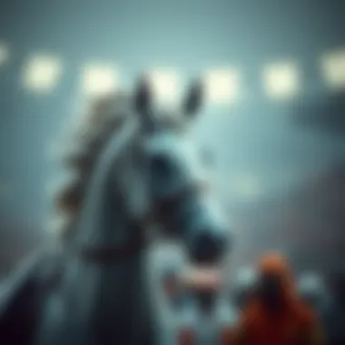 Magnificent 해외로또 결과 분석 및 최신 동향 Magnificent 해외로또 결과 분석 및 최신 동향