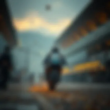 Magnificent 나라별 로또 분석 및 전략