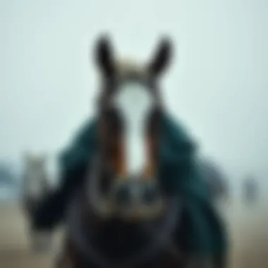 Magnificent 로또 확률 계산기의 이해와 활용