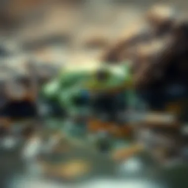 Understanding Dreams of Frogs and Their Meanings Dream interpretation of frogs