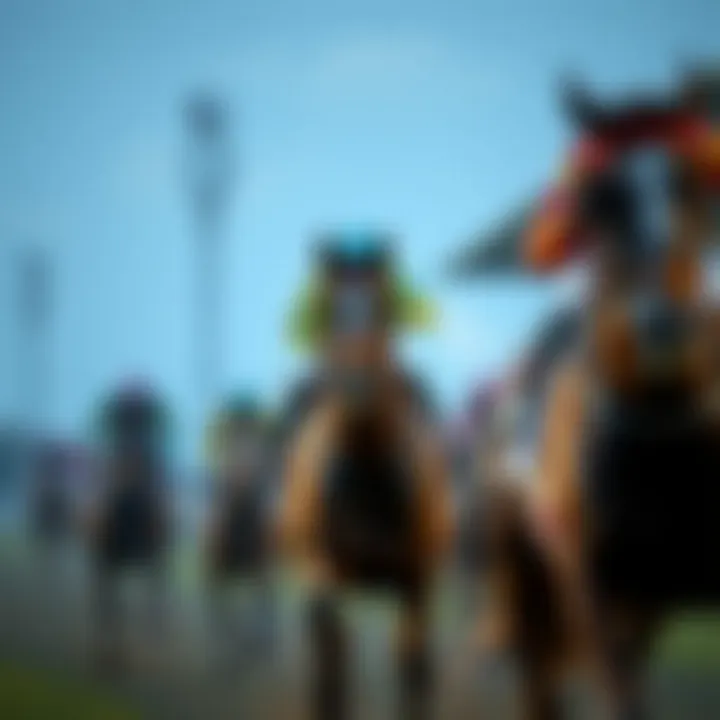 Regulatory Framework Surrounding Horse Racing Regulatory framework surrounding horse racing