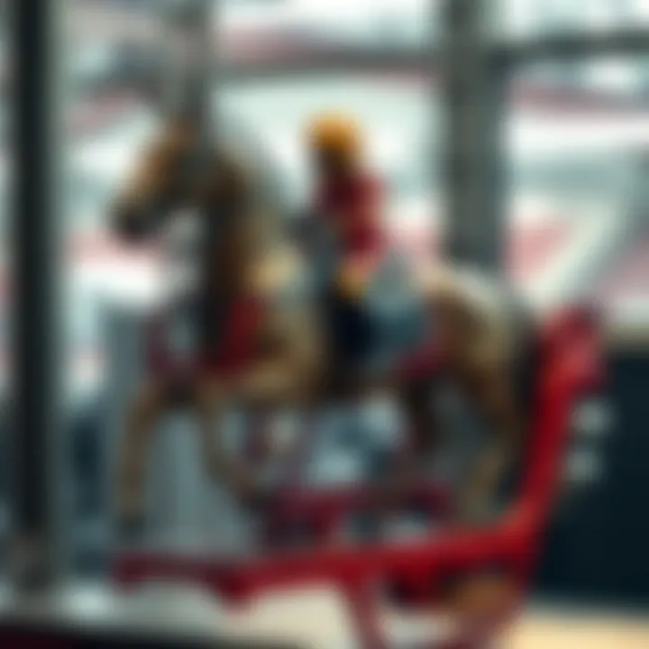 Mechanism and functionality of the apparatus