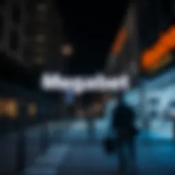 Understanding the concept of Megabet address