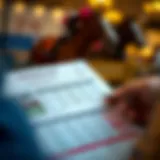 A detailed racecard showcasing horse statistics and jockey information